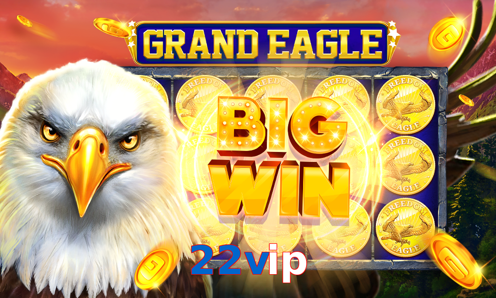 22vip
